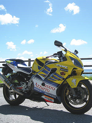かろ Okinawan Riderz Com 沖縄県内で活動するツーリングクラブ